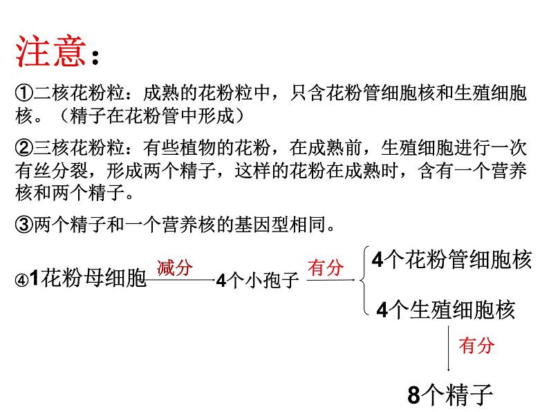 生物：3.2《月季的花药培养》课件（新人教版选修1）05