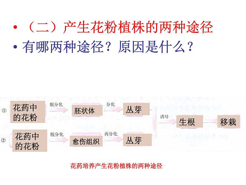 生物：3.2《月季的花药培养》课件（新人教版选修1）07