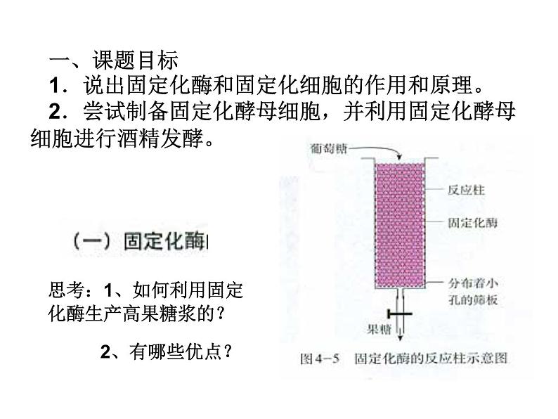 生物：4.3《酵母细胞的固定化》课件（新人教版选修1）高二03