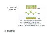 生物：4.3《酵母细胞的固定化》课件（新人教版选修1）高二