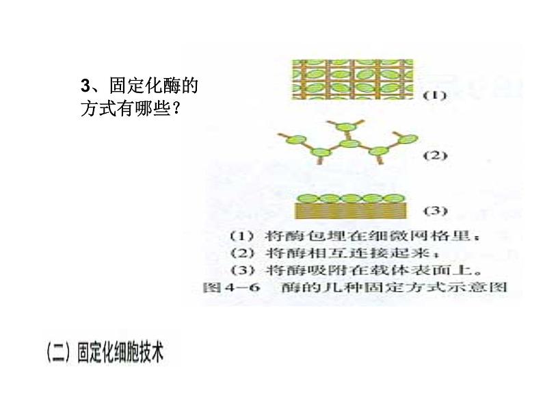 生物：4.3《酵母细胞的固定化》课件（新人教版选修1）高二04