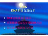 生物：5.1《DNA的粗提取与鉴定》课件（新人教版选修1）