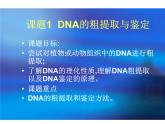 生物：5.1《DNA的粗提取与鉴定》课件（新人教版选修1）