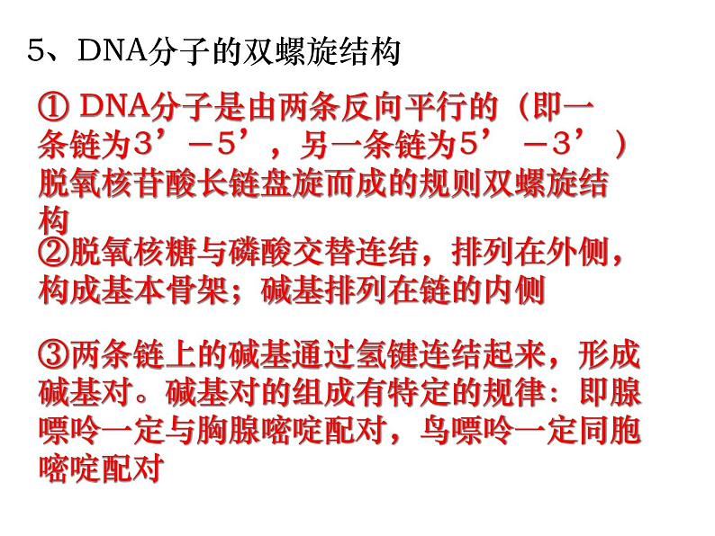 生物：5.2《多聚酶链式反应扩增DNA片段》课件（新人教版选修1）08