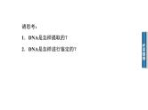 高中生物选修1课件：5.1DNA的粗提取与鉴定（共43张PPT）