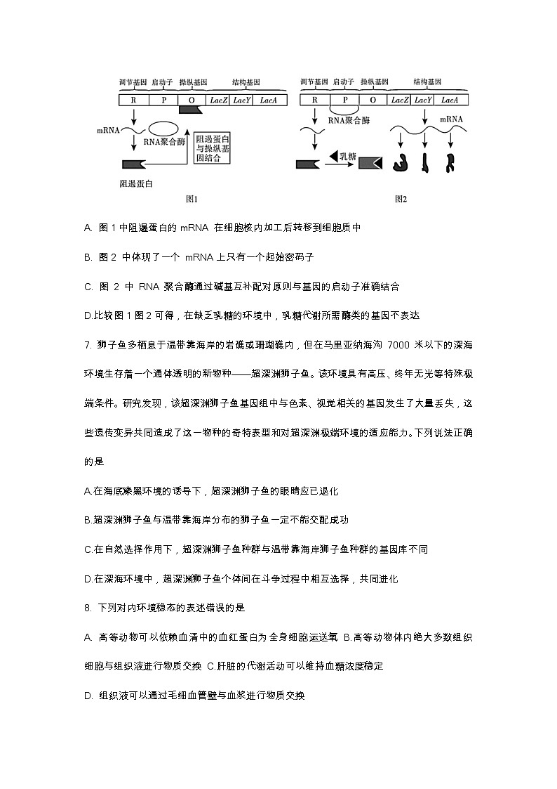 2021年天津市南开区高三上学期生物期末试卷 含答案03