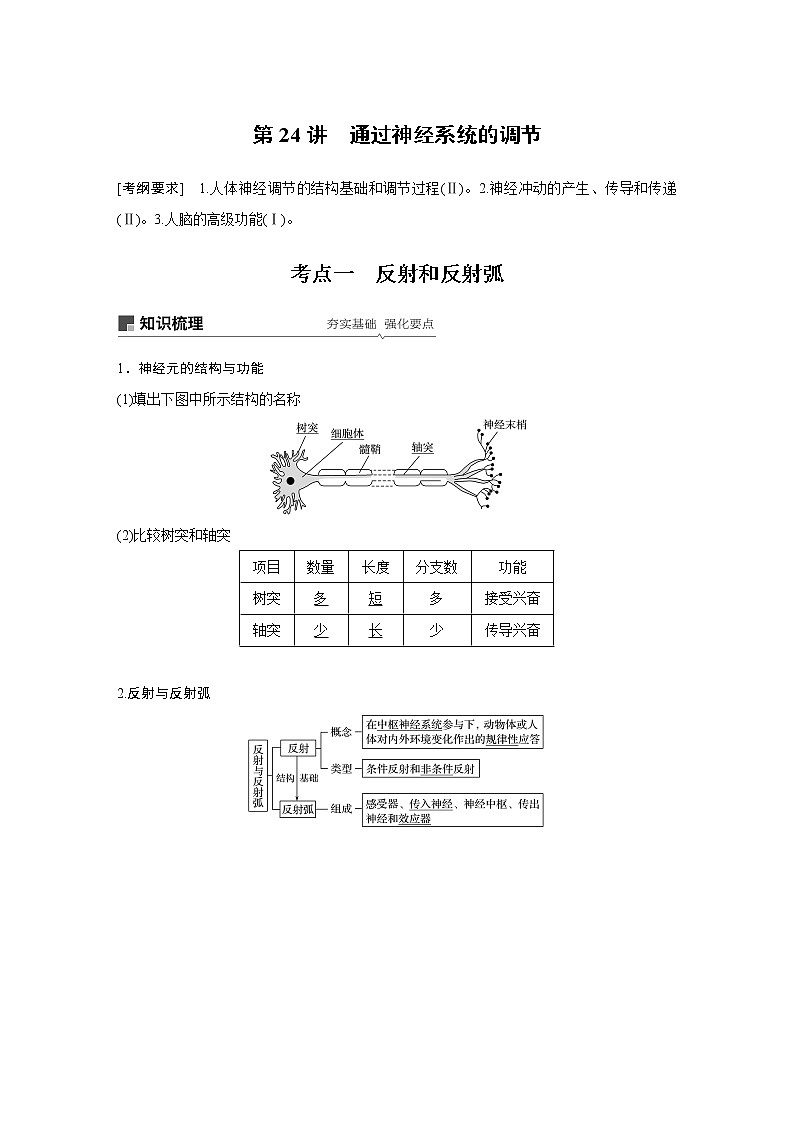 2020版高考生物大一轮人教讲义：第八单元 第24讲 通过神经系统的调节第1页