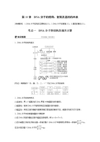 2020版高考生物大一轮人教讲义：第六单元 第18讲 DNA分子的结构、复制及基因的本质