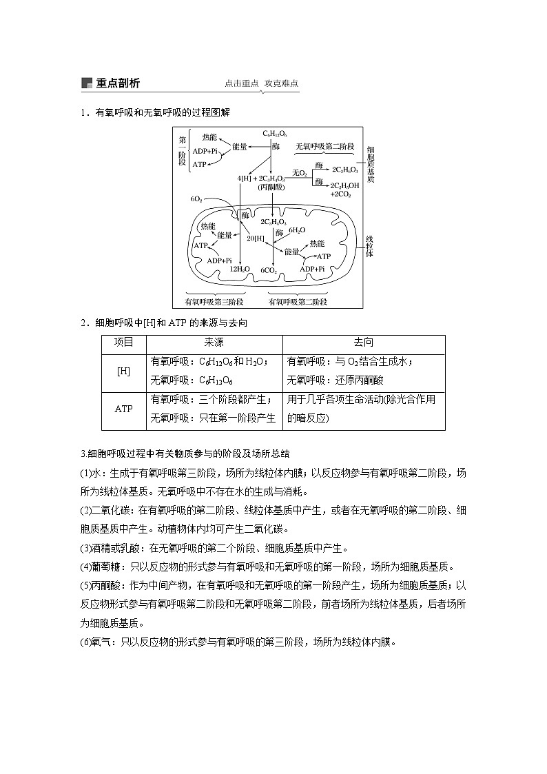 2020版高考生物大一轮人教讲义：第三单元 第8讲 细胞呼吸第3页