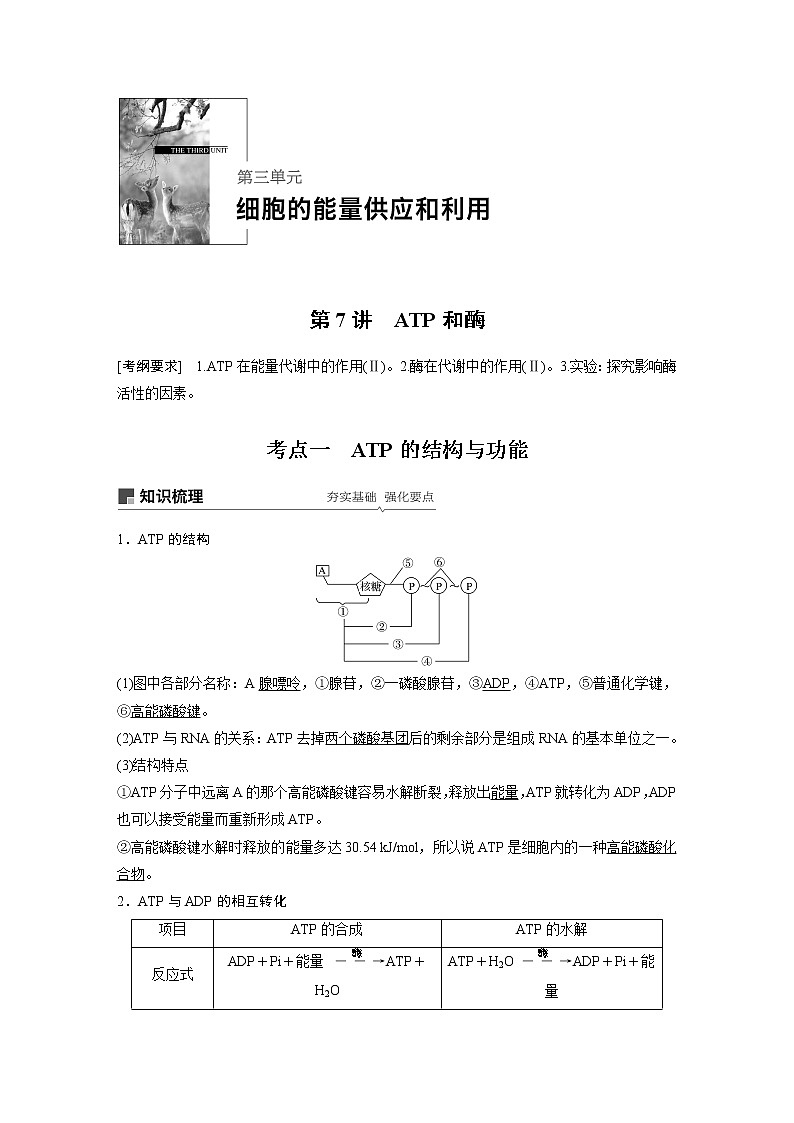 2020版高考生物大一轮人教讲义：第三单元 第7讲 ATP和酶第1页