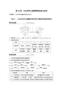 2020版高考生物大一轮人教讲义：第三单元 第10讲 光合作用与细胞呼吸的综合应用