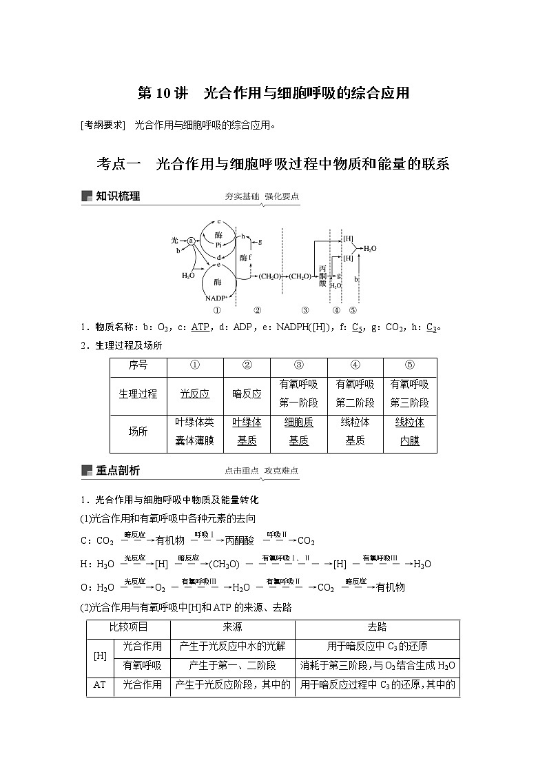 2020版高考生物大一轮人教讲义：第三单元 第10讲 光合作用与细胞呼吸的综合应用第1页