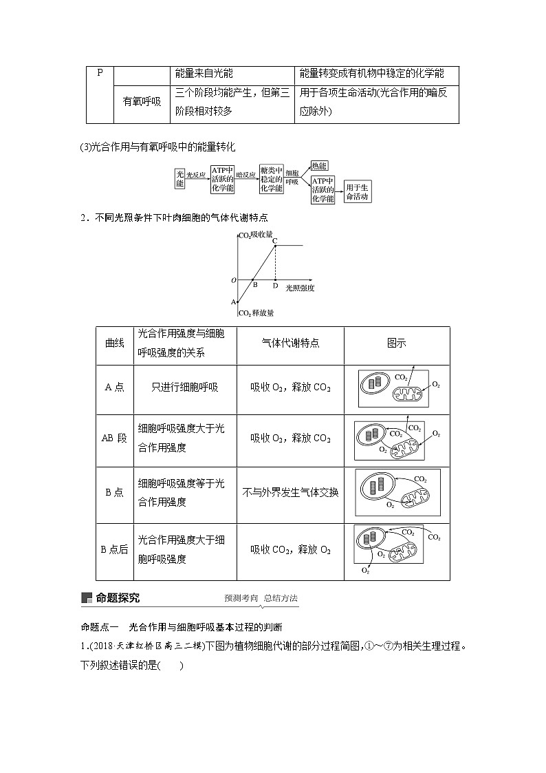 2020版高考生物大一轮人教讲义：第三单元 第10讲 光合作用与细胞呼吸的综合应用第2页