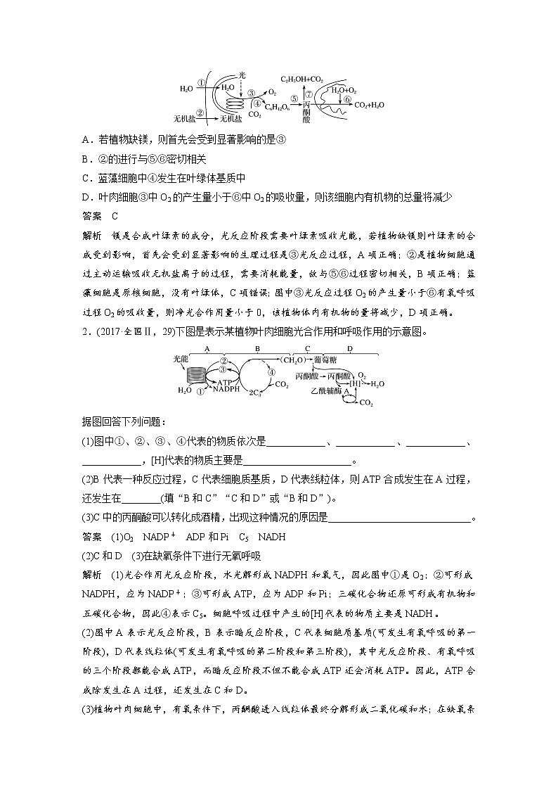 2020版高考生物大一轮人教讲义：第三单元 第10讲 光合作用与细胞呼吸的综合应用第3页