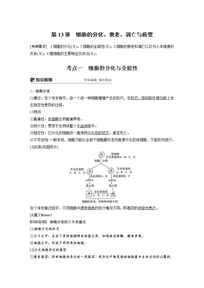 2020版高考生物大一轮人教讲义：第四单元 第13讲 细胞的分化、衰老、凋亡与癌变01