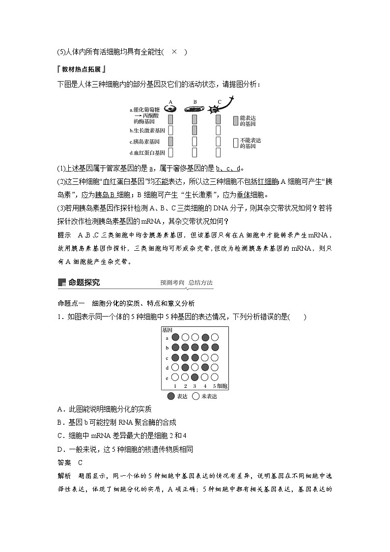 2020版高考生物大一轮人教讲义：第四单元 第13讲 细胞的分化、衰老、凋亡与癌变03