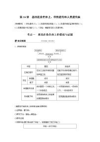 2020版高考生物大一轮人教讲义：第五单元 第16讲 基因在染色体上、伴性遗传和人类遗传病