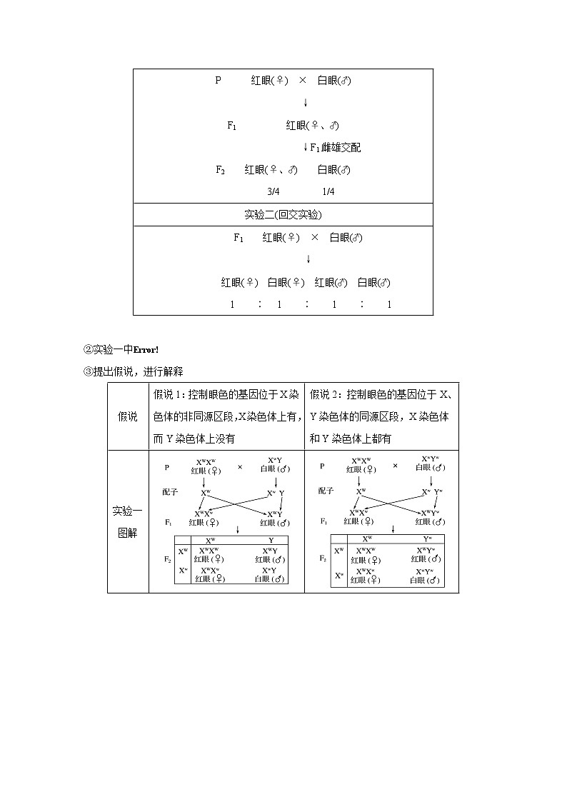 2020版高考生物大一轮人教讲义：第五单元 第16讲 基因在染色体上、伴性遗传和人类遗传病第2页