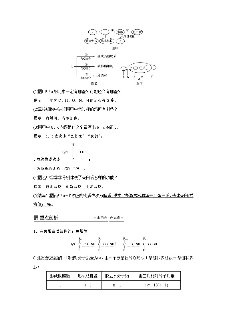 2020版高考生物大一轮人教讲义：第一单元 第3讲 蛋白质和核酸第3页
