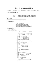 2020版高考生物大一轮人教讲义：第四单元 第12讲 减数分裂和受精作用