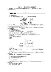 高考生物大一轮复习学案+作业第八单元学案34通过神经系统的调节