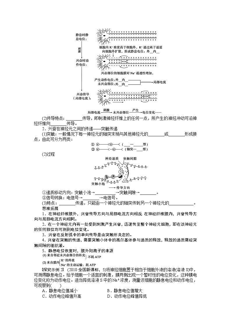 高考生物大一轮复习学案+作业第八单元学案34通过神经系统的调节03