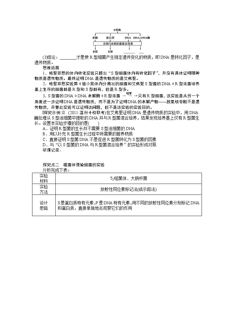 高考生物大一轮复习学案+作业第六单元　学案23遗传的物质基础第3页