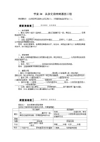 高考生物大一轮复习学案+作业第七单元学案30从杂交育种到基因工程