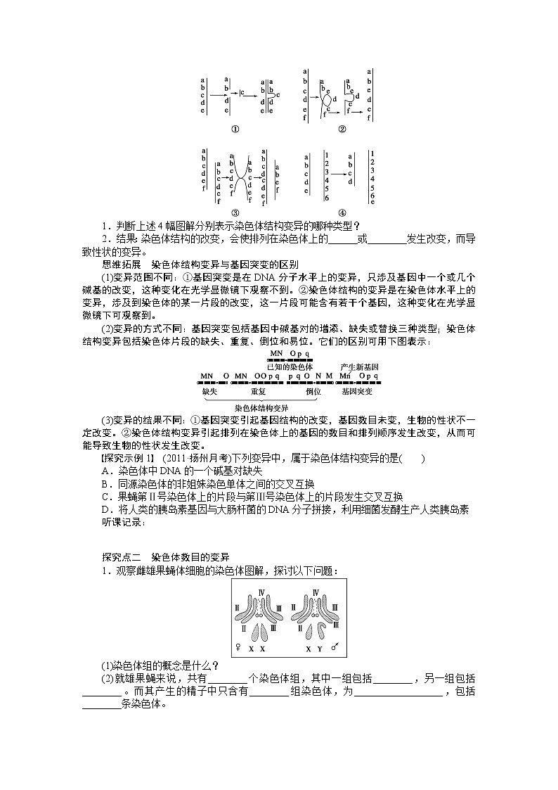 高考生物大一轮复习学案+作业第七单元学案28染色体变异02