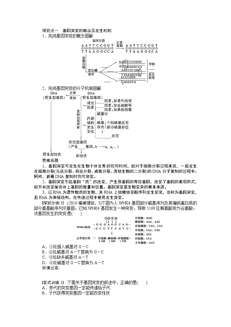 高考生物大一轮复习学案+作业第七单元　学案27生物变异、育种和进化02