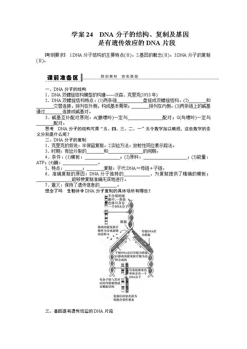 高考生物大一轮复习学案+作业第六单元学案24DNA分子的结构第1页