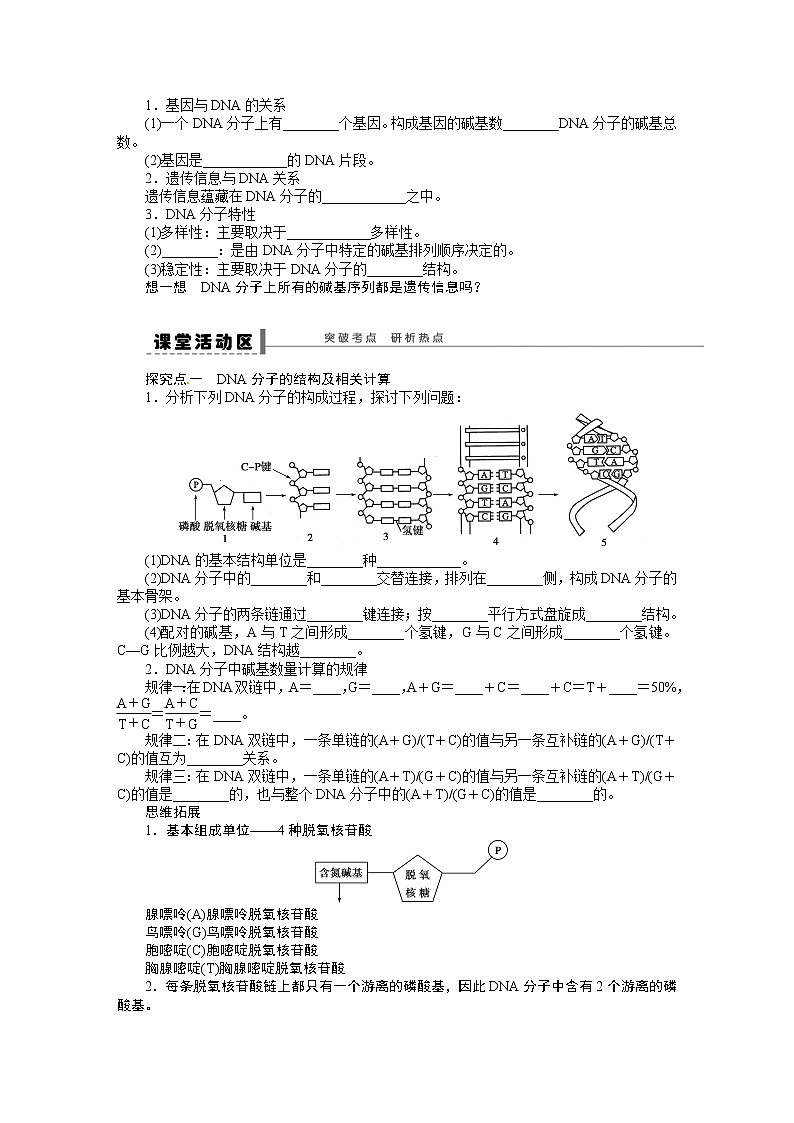 高考生物大一轮复习学案+作业第六单元学案24DNA分子的结构第2页