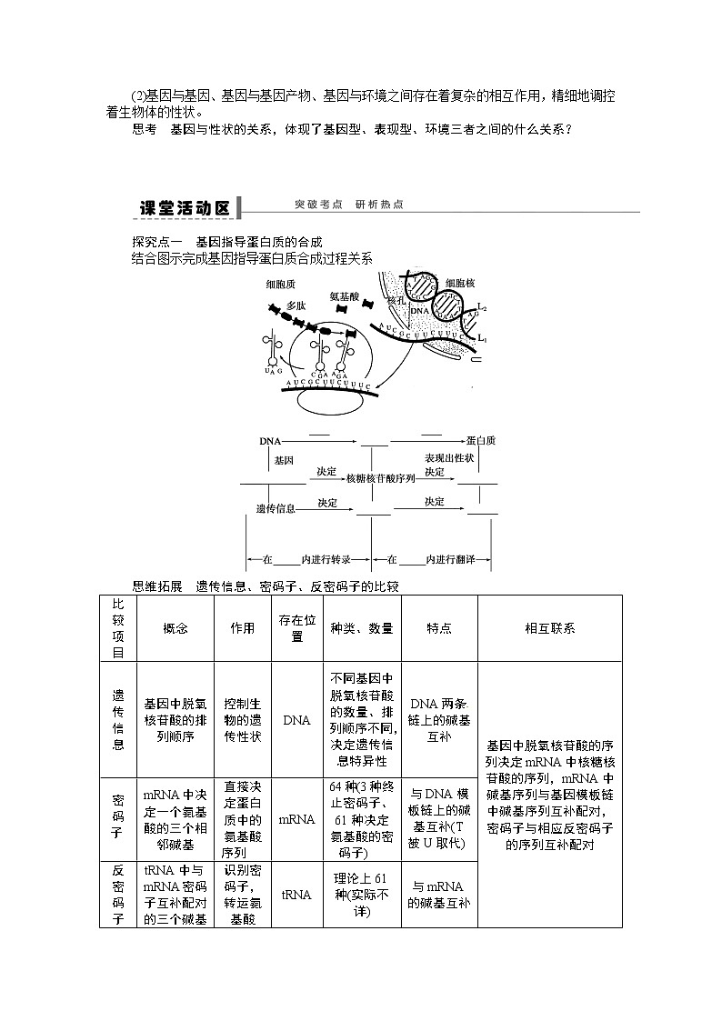 高考生物大一轮复习学案+作业第六单元学案25 基因指导蛋白质的合成02