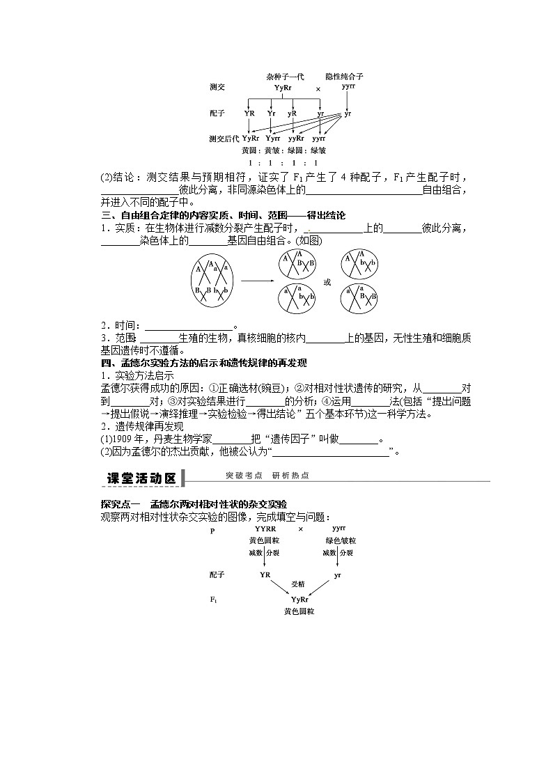 高考生物大一轮复习学案+作业第五单元 学案19孟德尔的豌豆杂交实验02