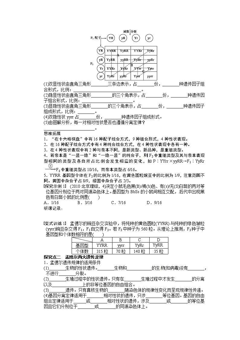 高考生物大一轮复习学案+作业第五单元 学案19孟德尔的豌豆杂交实验03