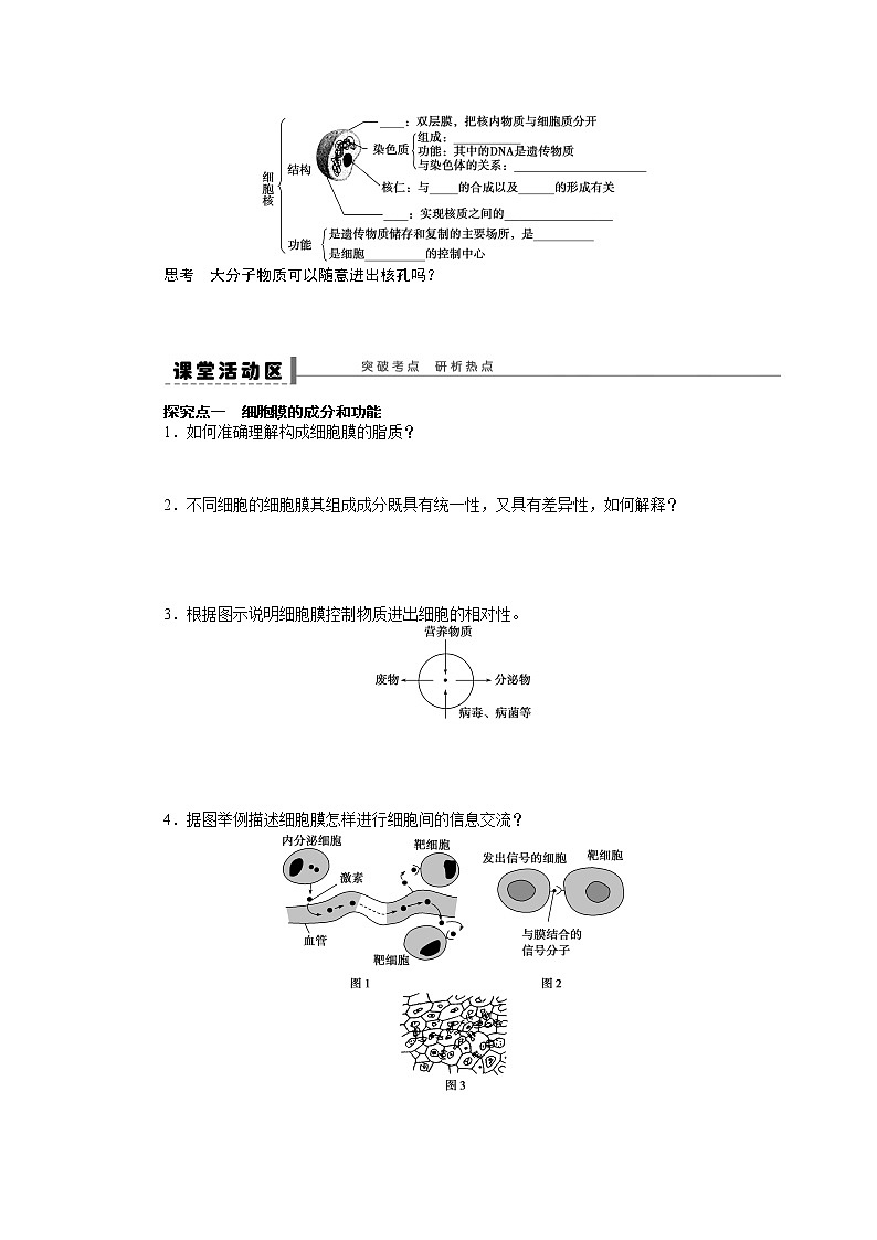 高考生物大一轮复习学案+作业第二单元  学案5  细胞膜——系统的边界细胞核——系统的控制中心02