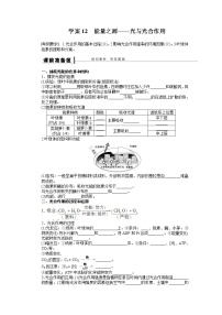 高考生物大一轮复习学案+作业第三单元 学案12 能量之源