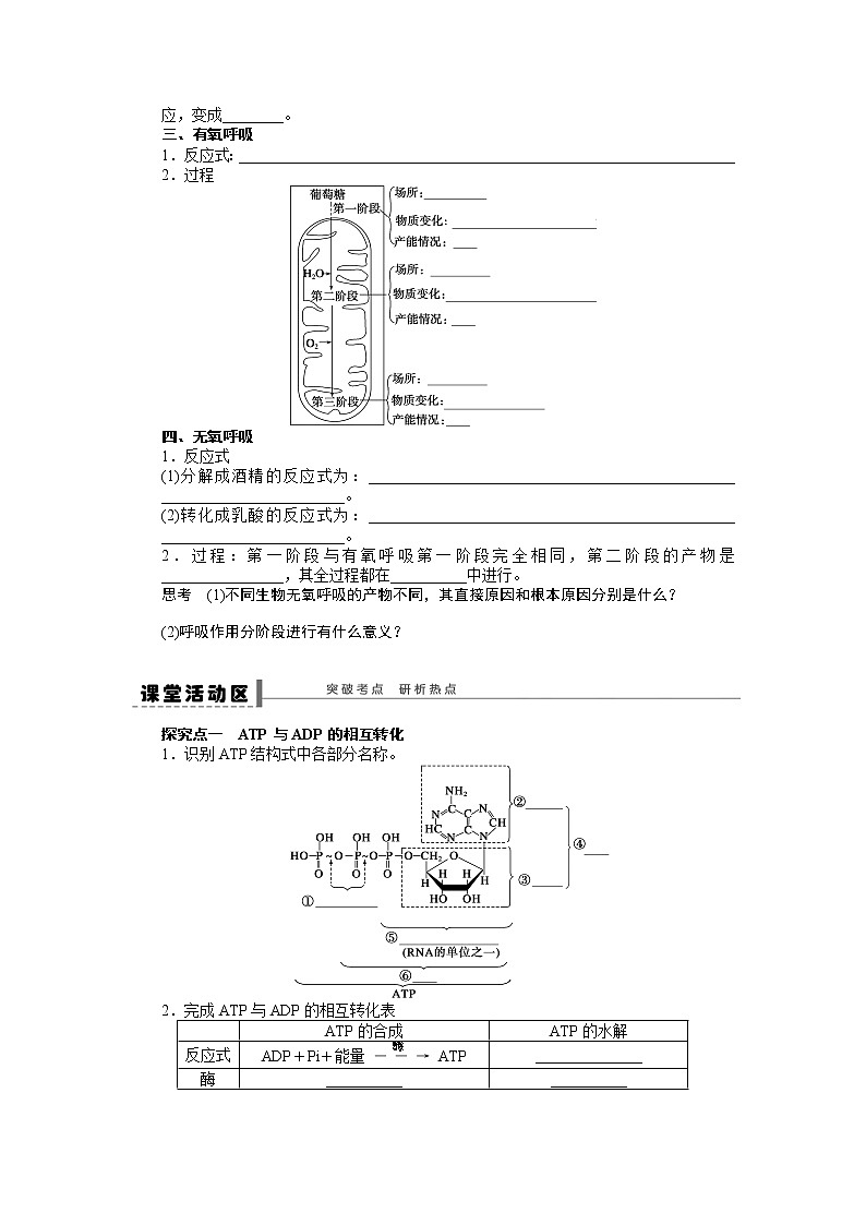 高考生物大一轮复习学案+作业第三单元 学案11 细胞的能量02