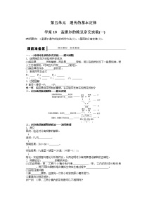 高考生物大一轮复习学案+作业第五单元 学案18遗传的基本规律