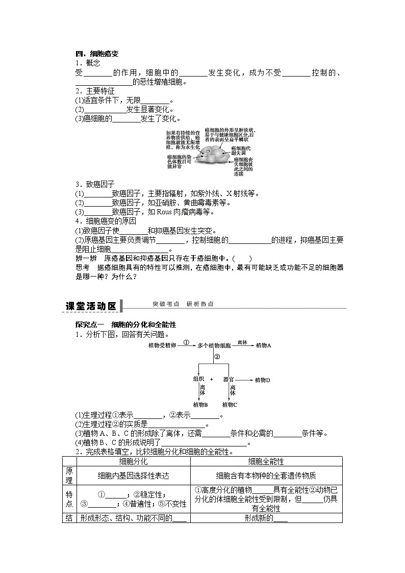 高考生物大一轮复习学案+作业第四单元 学案16细胞的分化第2页