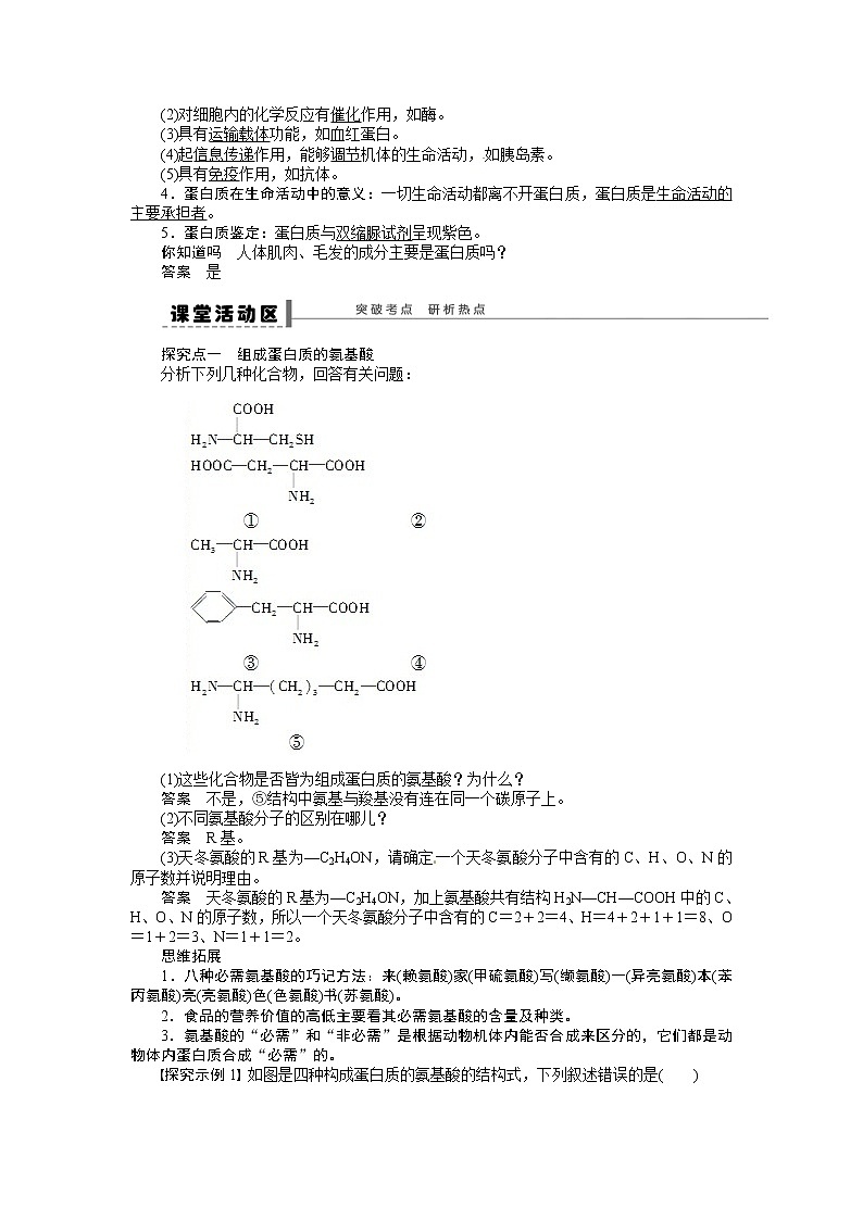 高考生物大一轮复习学案+作业第一单元 学案3 生命活动的主要承担者——蛋白质02