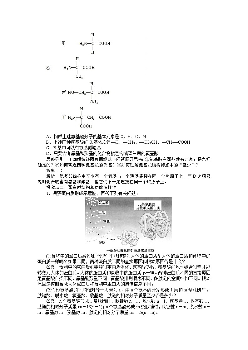 高考生物大一轮复习学案+作业第一单元 学案3 生命活动的主要承担者——蛋白质03