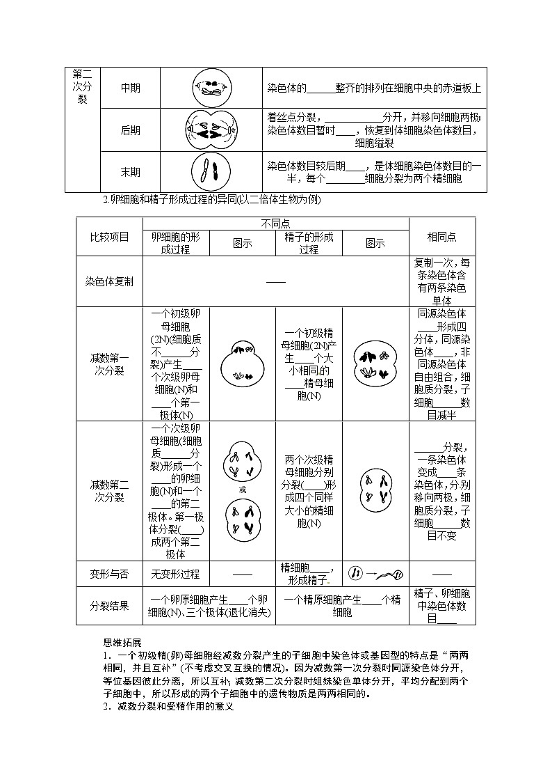 高考生物大一轮复习学案+作业第四单元 学案17 减数分裂和受精作用03