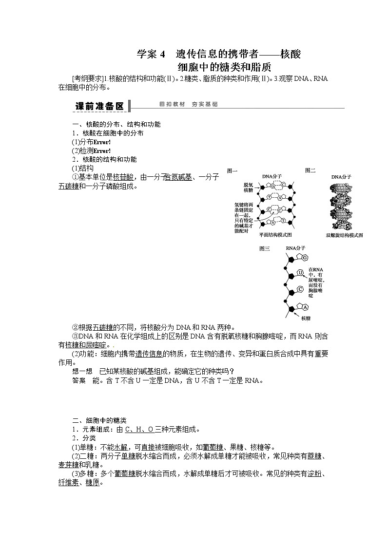 高考生物大一轮复习学案+作业第一单元 学案4 遗传信息的携带者——核酸细胞中的糖类和脂质01