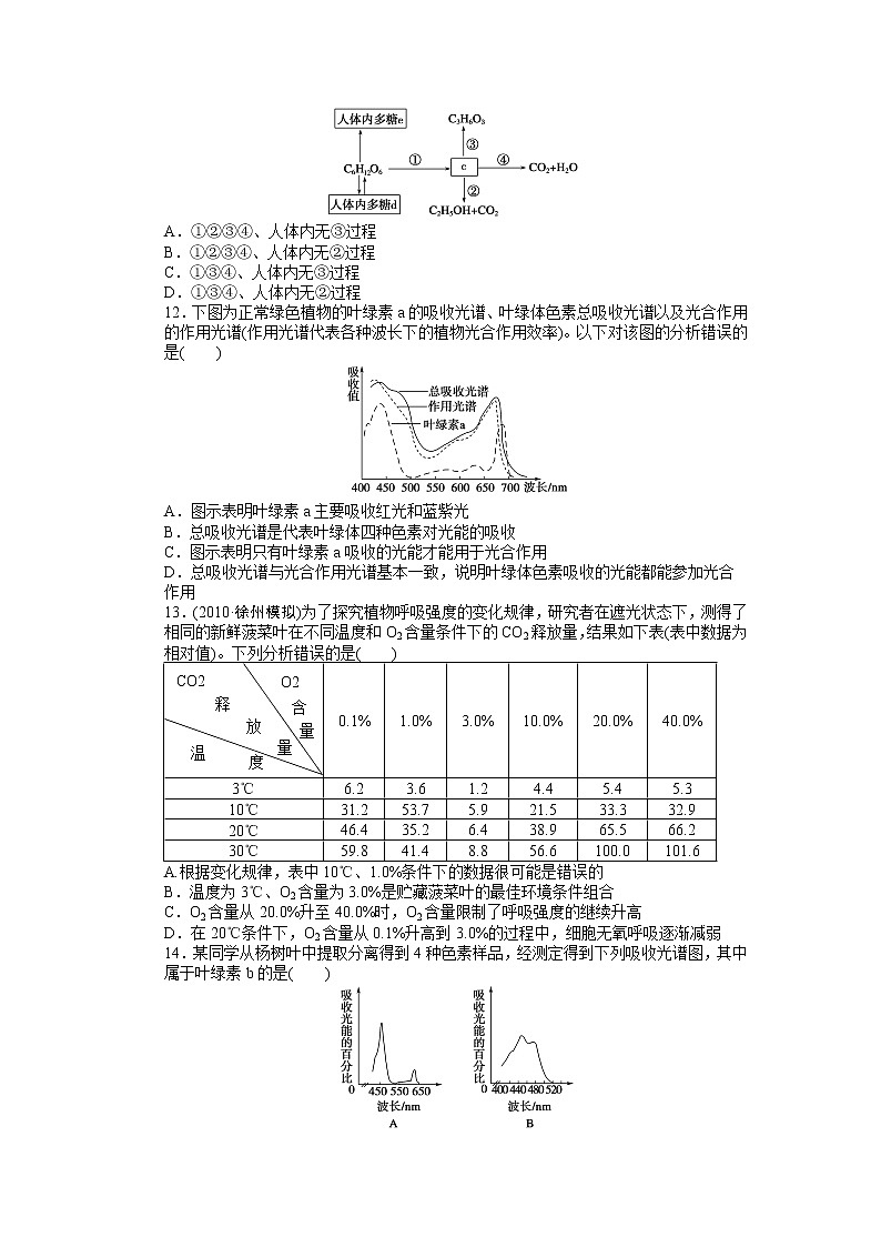 高考生物大一轮复习学案+作业第三单元 单元检测03