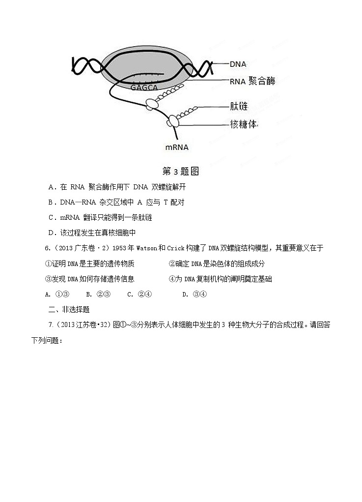 高考试题分项版解析生物 专题05 遗传的分子学基础（原卷版）第2页