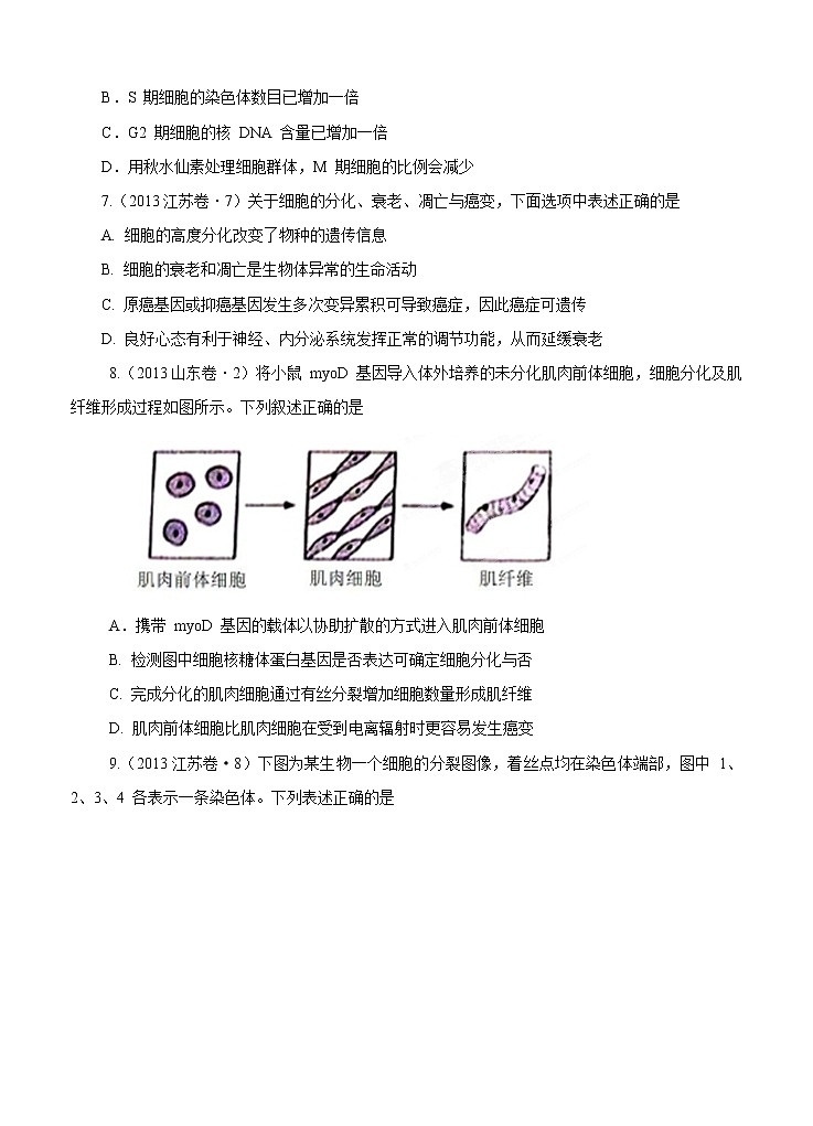 高考试题分项版解析生物 专题04 细胞的生命历程（含减数分裂）（原卷版）第2页