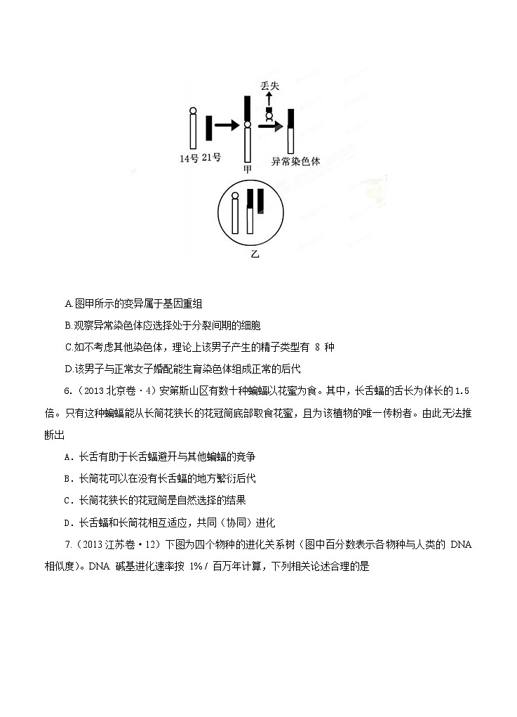 高考试题分项版解析生物 专题07 生物的变异与进化（原卷版）第2页