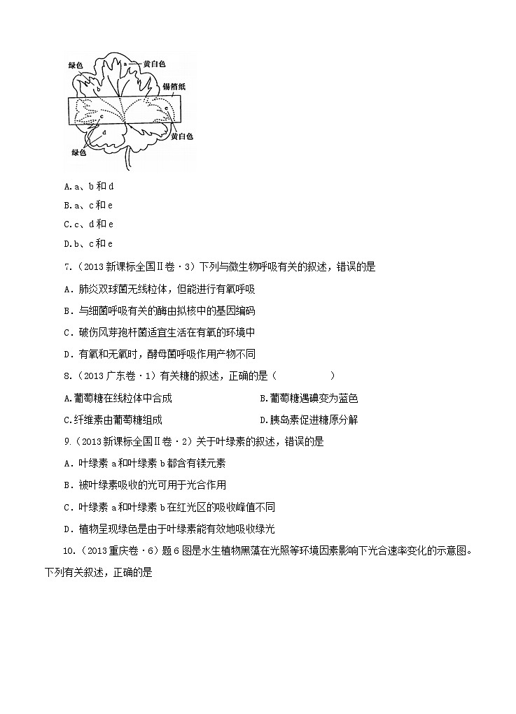 高考试题分项版解析生物 专题03 光合作用与呼吸作用（原卷版）02