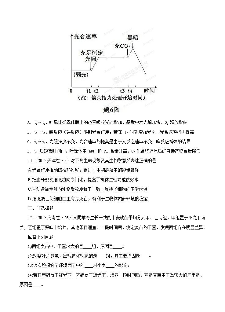 高考试题分项版解析生物 专题03 光合作用与呼吸作用（原卷版）03